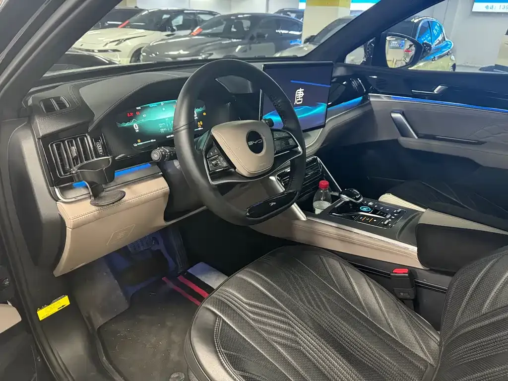 BYD Tang New Energy 2024 из CN, фото 5