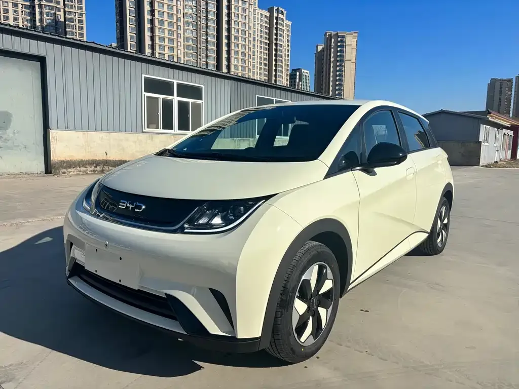 BYD Dolphin 2025 из CN, фото 1