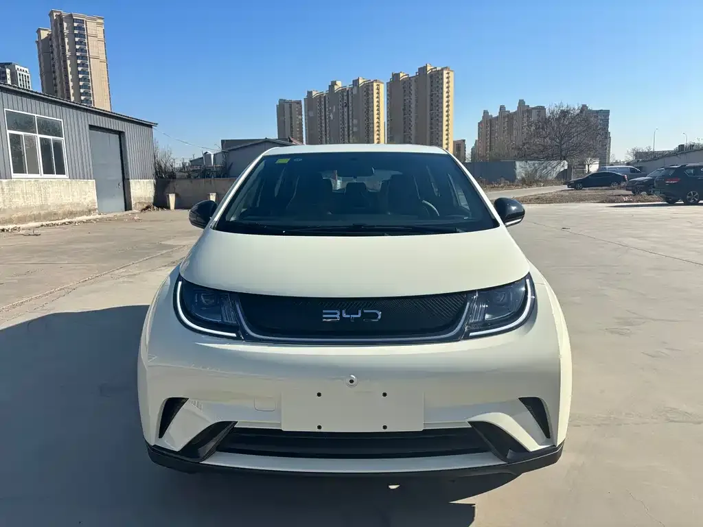 BYD Dolphin 2025 из CN, фото 2