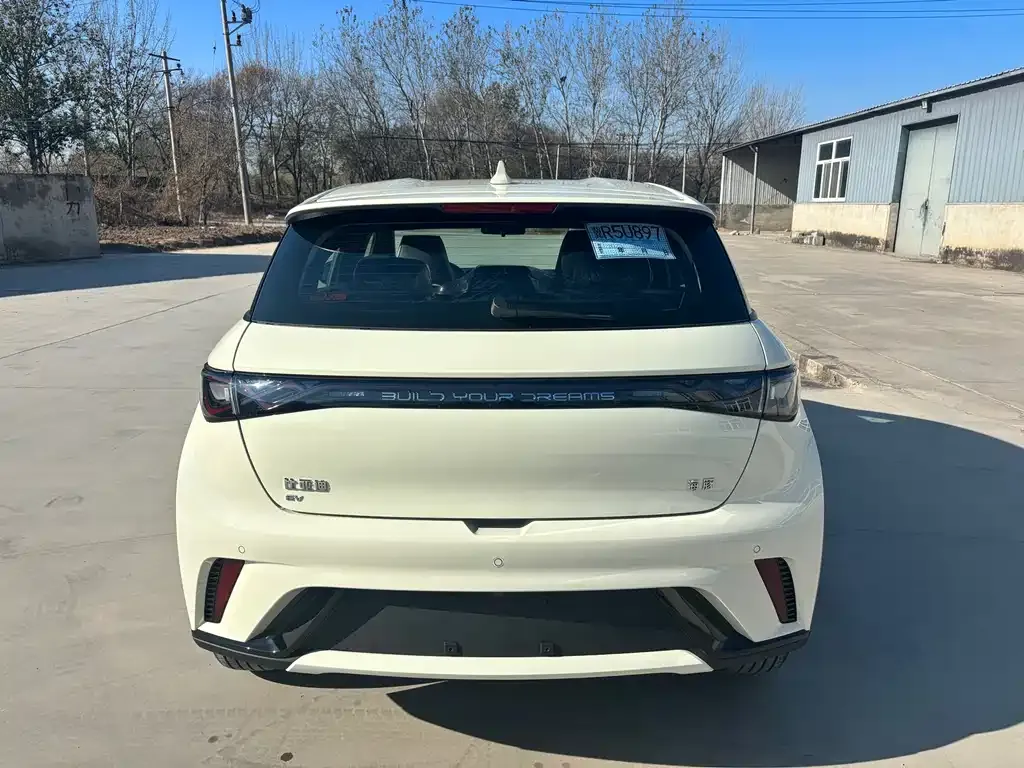 BYD Dolphin 2025 из CN, фото 3