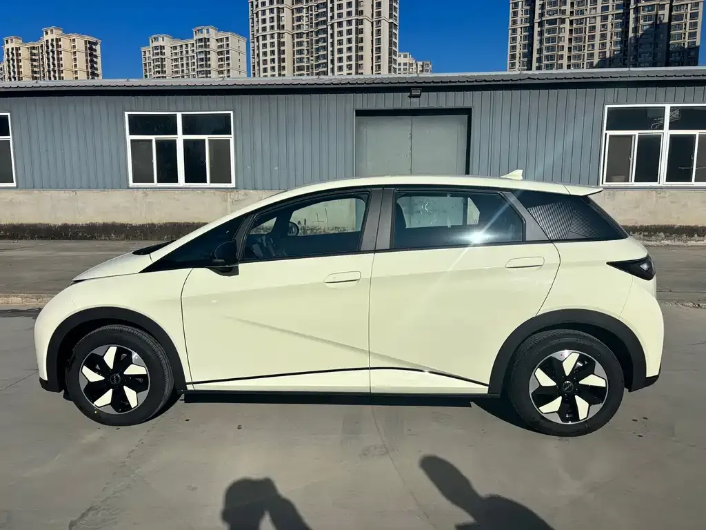 BYD Dolphin 2025 из CN, фото 4