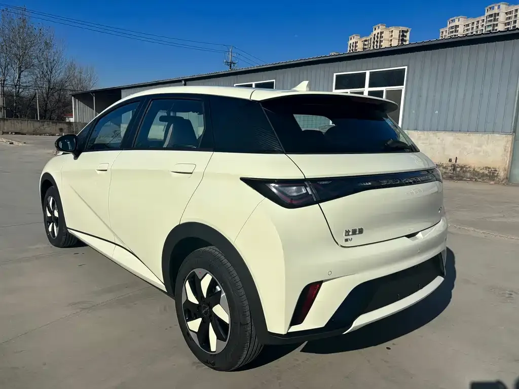 BYD Dolphin 2025 из CN, фото 6