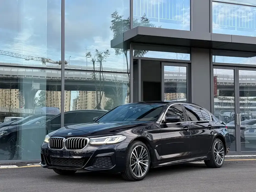 BMW 5 Series 2021 из CN, фото 1