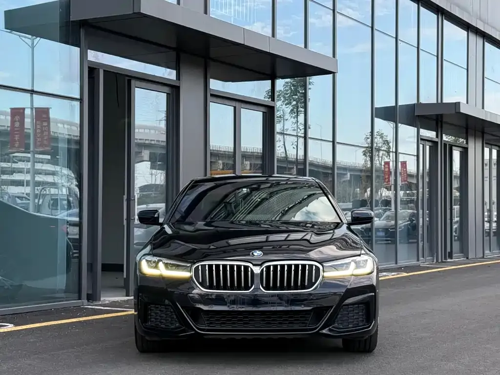BMW 5 Series 2021 из CN, фото 2
