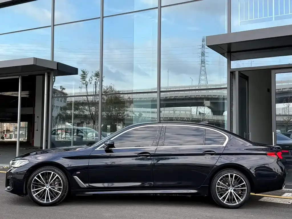 BMW 5 Series 2021 из CN, фото 3