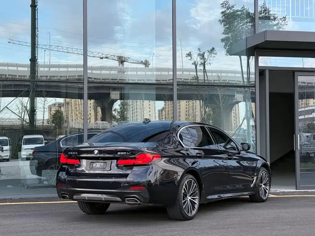 BMW 5 Series 2021 из CN, фото 4