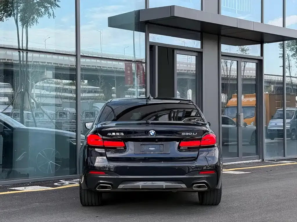 BMW 5 Series 2021 из CN, фото 5