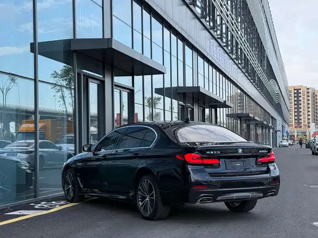 BMW 5 Series 2021 из CN, фото 6