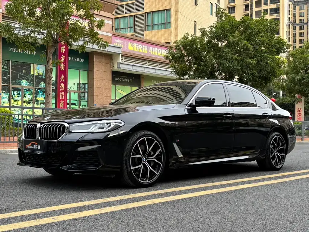 BMW 5 Series 2023 из CN, фото 1
