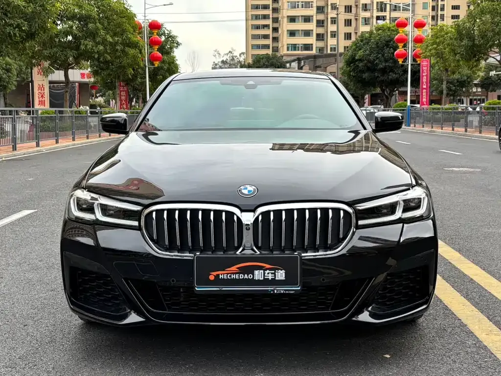 BMW 5 Series 2023 из CN, фото 2