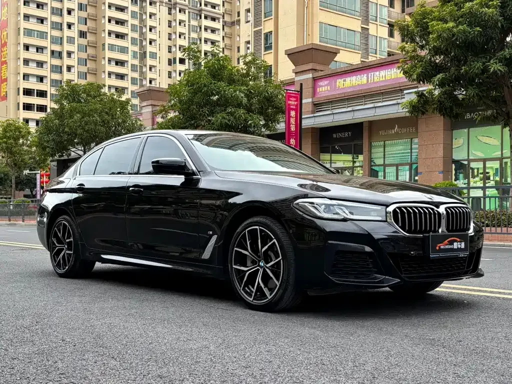 BMW 5 Series 2023 из CN, фото 3