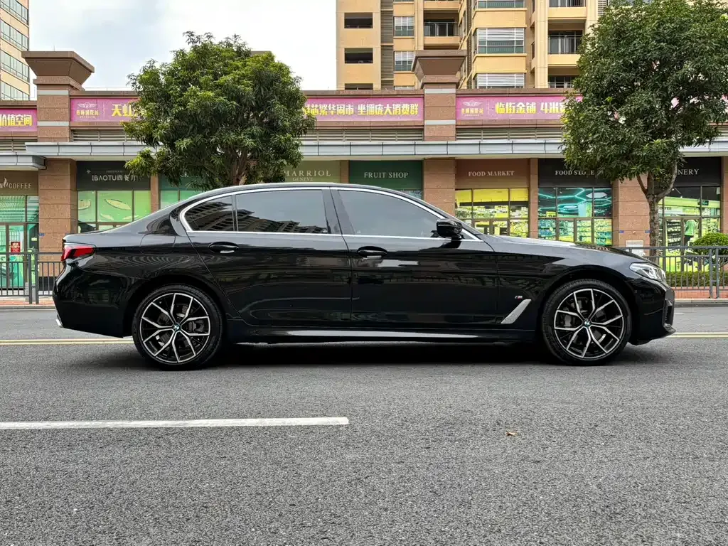 BMW 5 Series 2023 из CN, фото 4