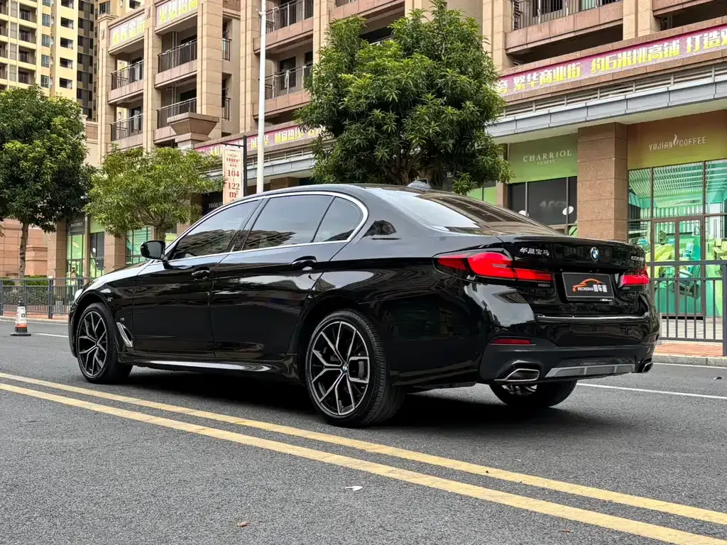 BMW 5 Series 2023 из CN, фото 5