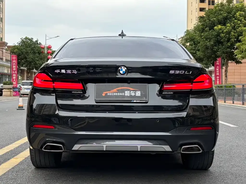 BMW 5 Series 2023 из CN, фото 6