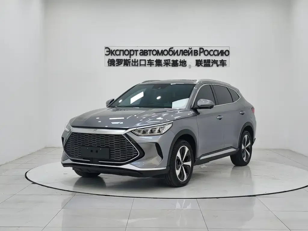 BYD PLUS New Energy 2023 из CN, фото 1