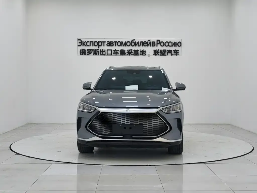 BYD PLUS New Energy 2023 из CN, фото 2