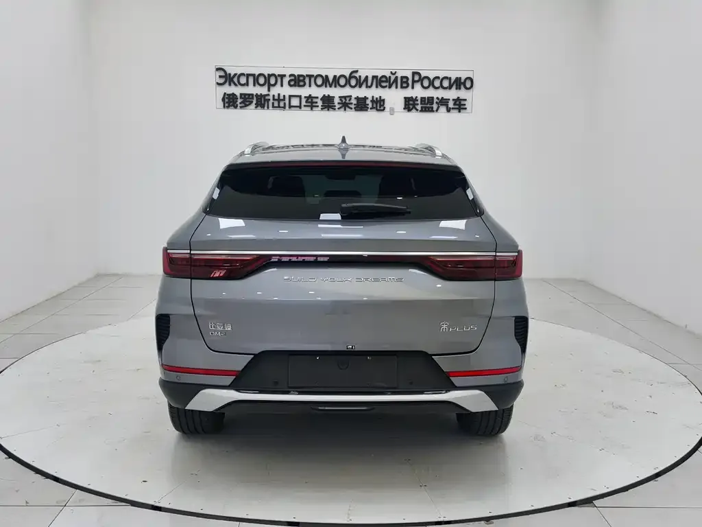 BYD PLUS New Energy 2023 из CN, фото 5