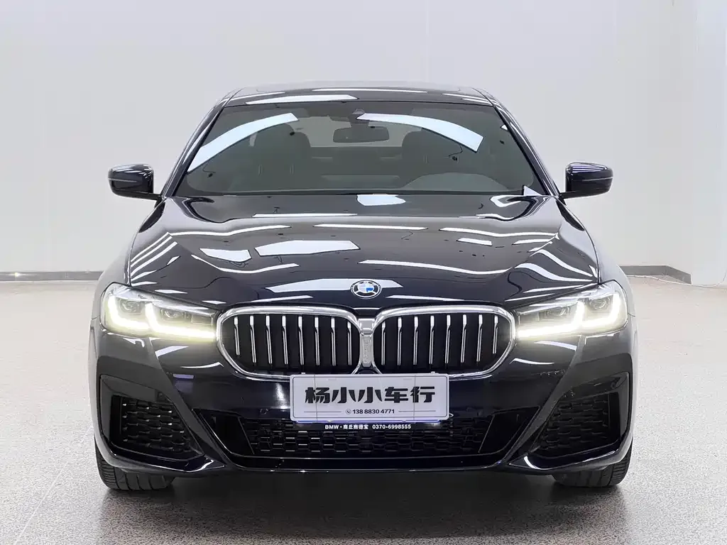 BMW 5 Series 2022 из CN, фото 2