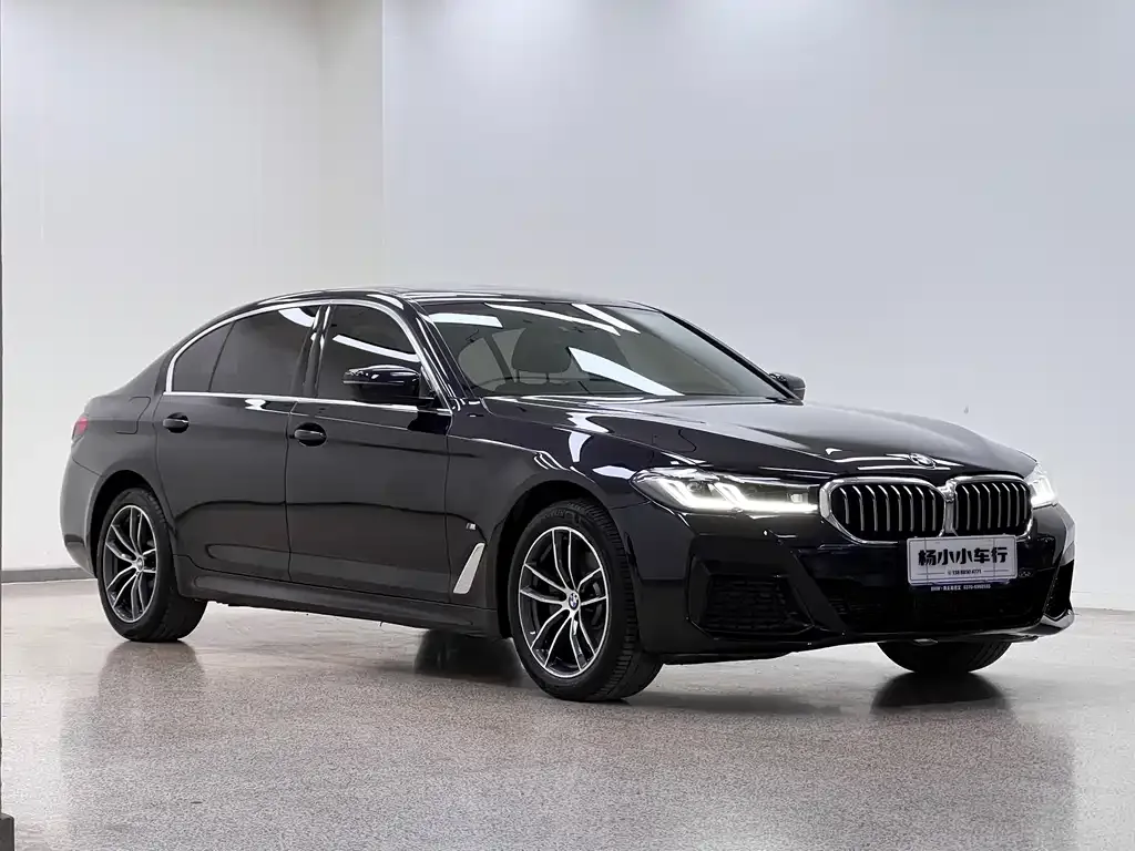 BMW 5 Series 2022 из CN, фото 3