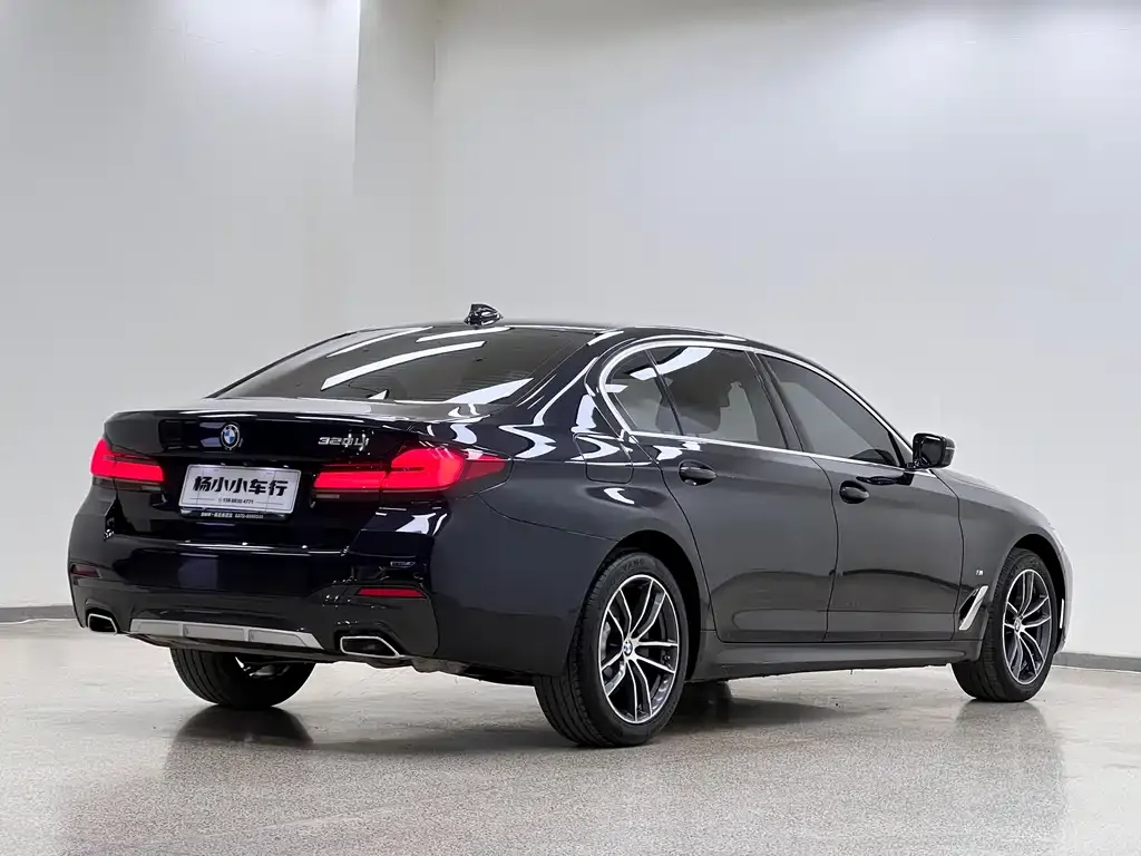 BMW 5 Series 2022 из CN, фото 7
