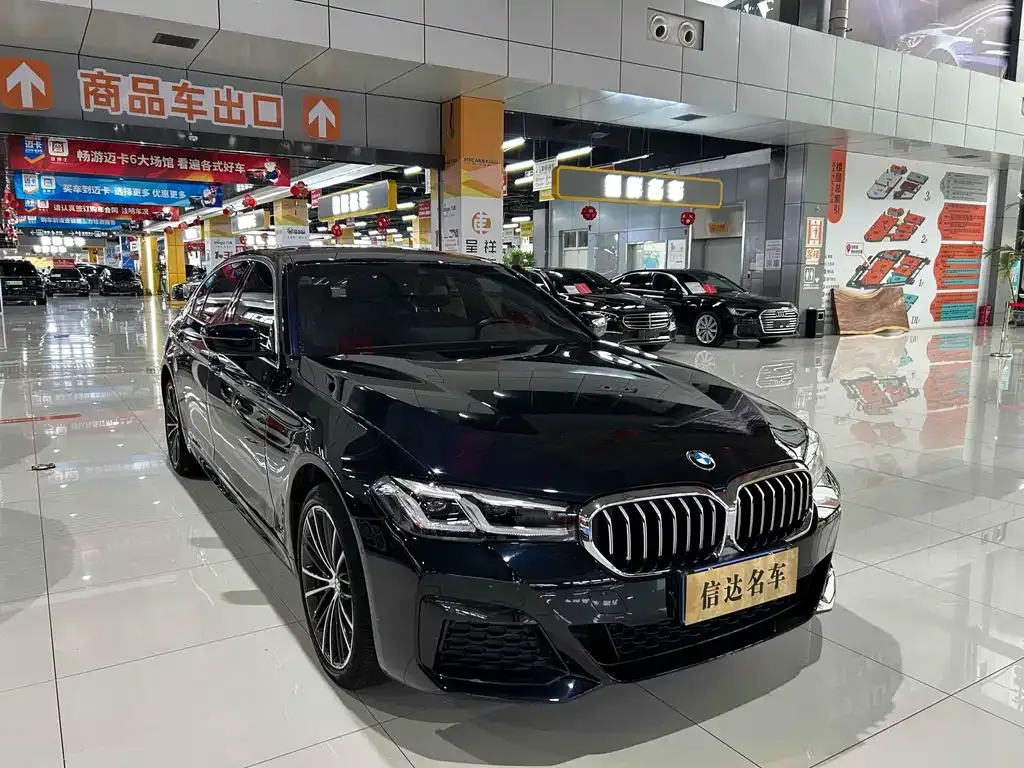 BMW 5 Series 2023 из CN, фото 3