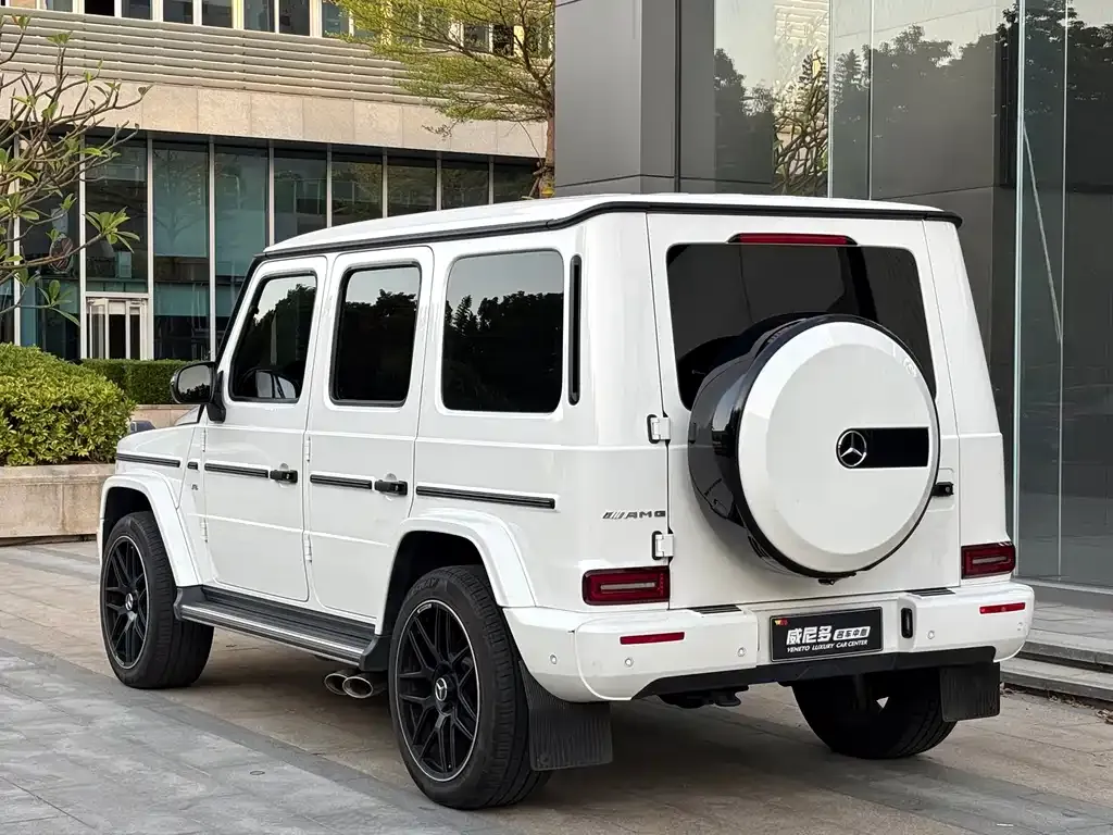 Mercedes-Benz G-Class 2021 из CN, фото 8