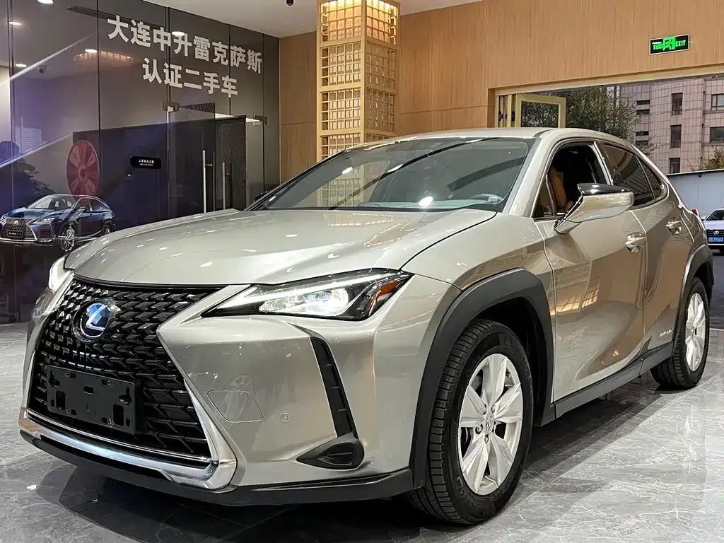 Lexus UX 2021 из CN, фото 1