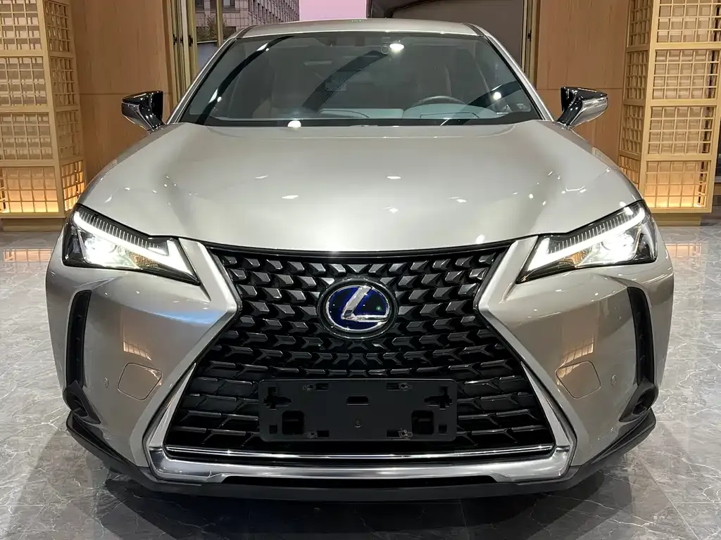 Lexus UX 2021 из CN, фото 2