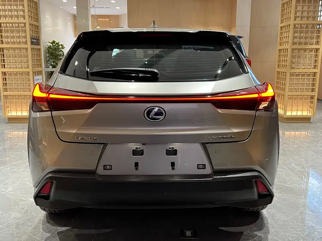 Lexus UX 2021 из CN, фото 6