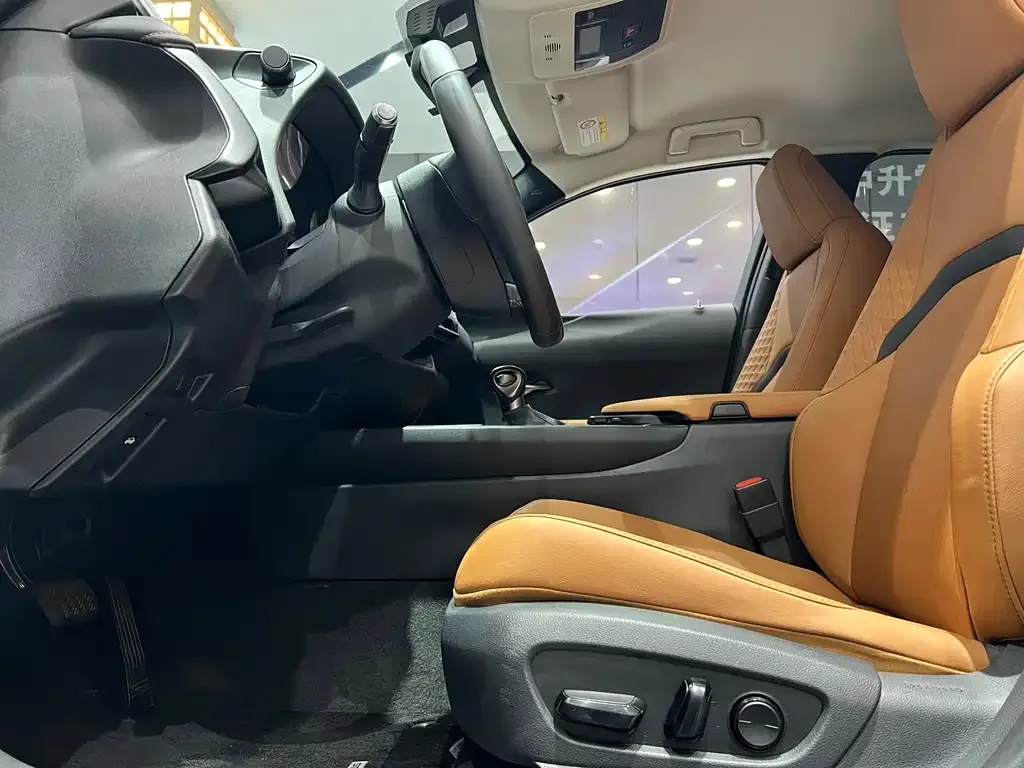 Lexus UX 2021 из CN, фото 9