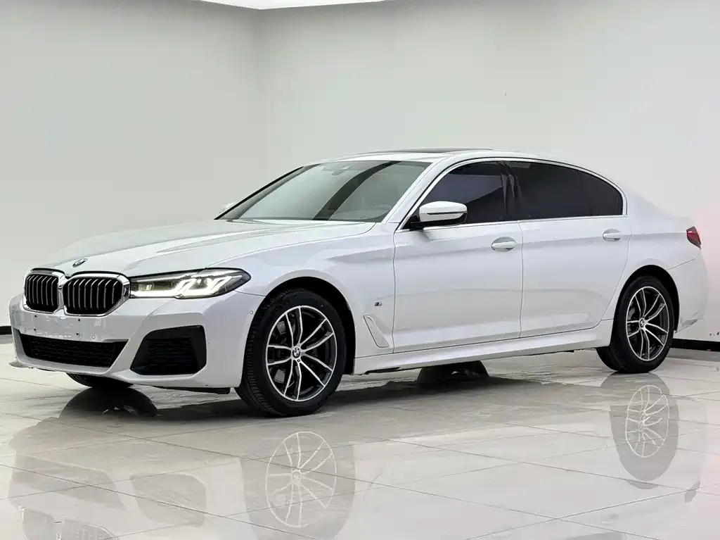 BMW 5 Series 2022 из CN, фото 1