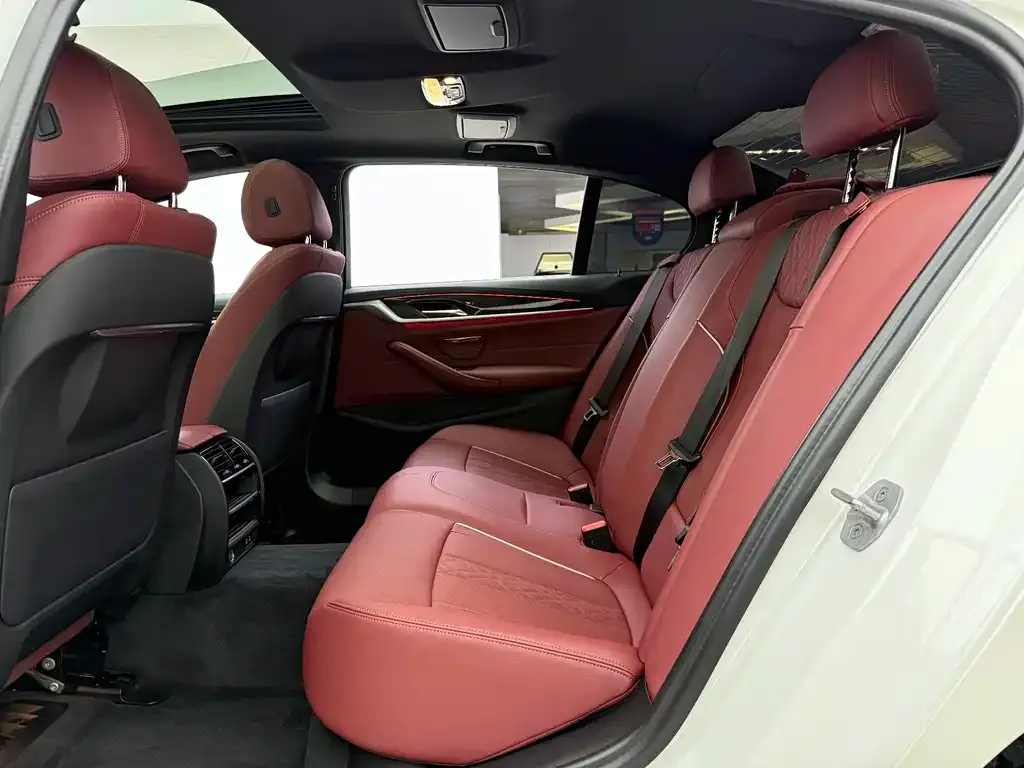 BMW 5 Series 2022 из CN, фото 10