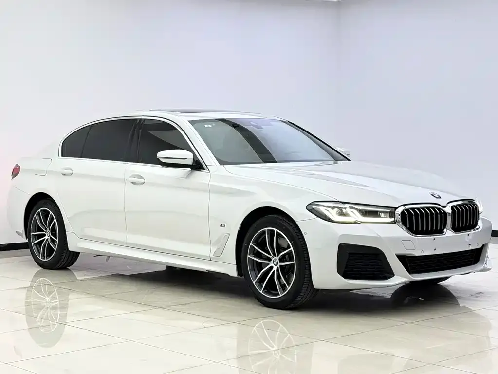 BMW 5 Series 2022 из CN, фото 2