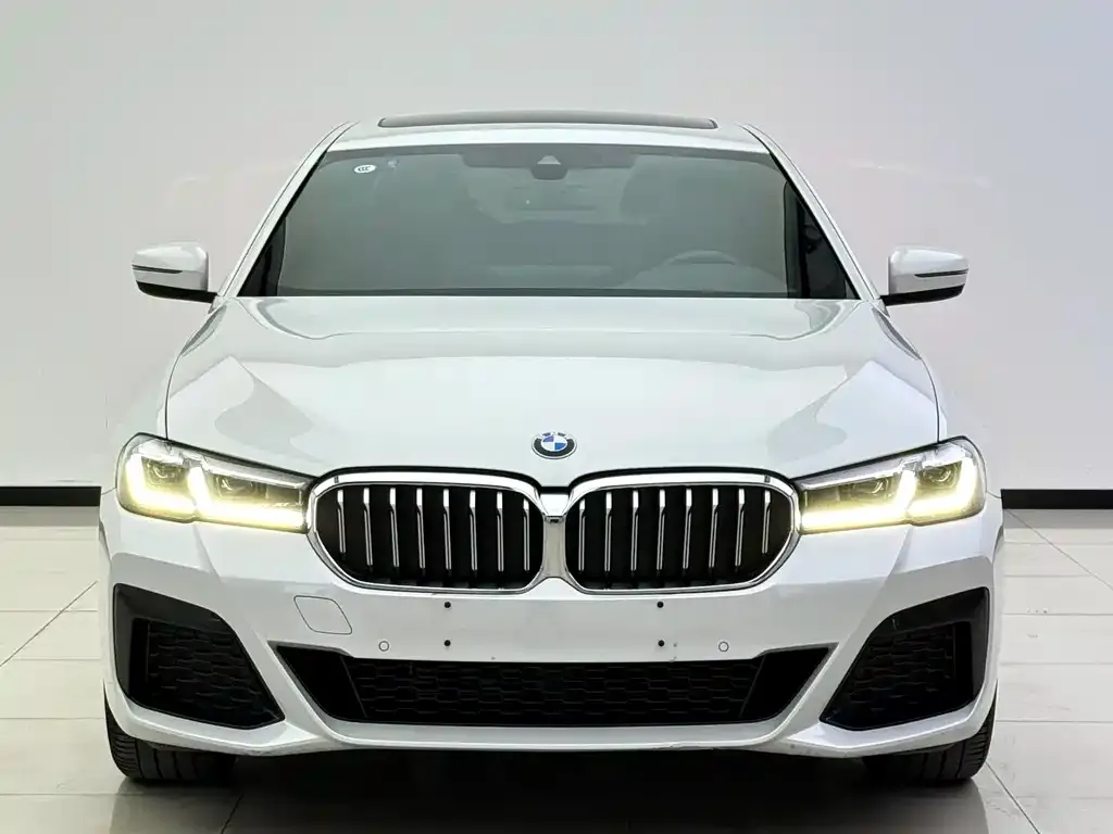 BMW 5 Series 2022 из CN, фото 3