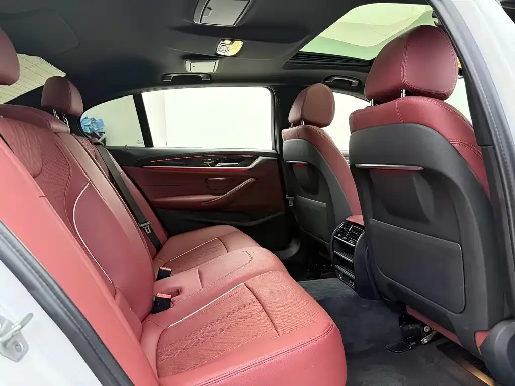 BMW 5 Series 2022 из CN, фото 4