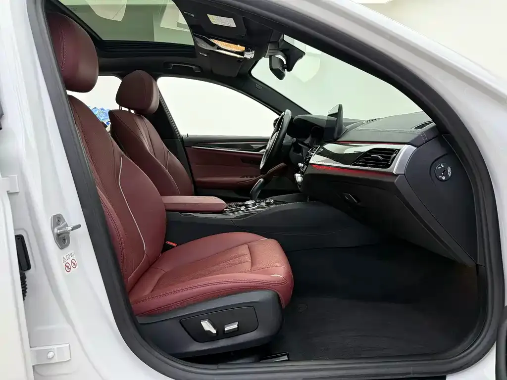 BMW 5 Series 2022 из CN, фото 6