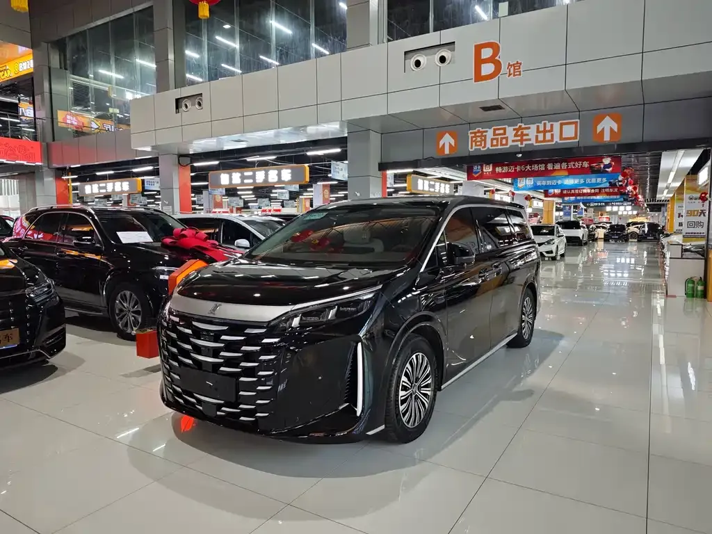 BYD Xia 2025 из CN, фото 1
