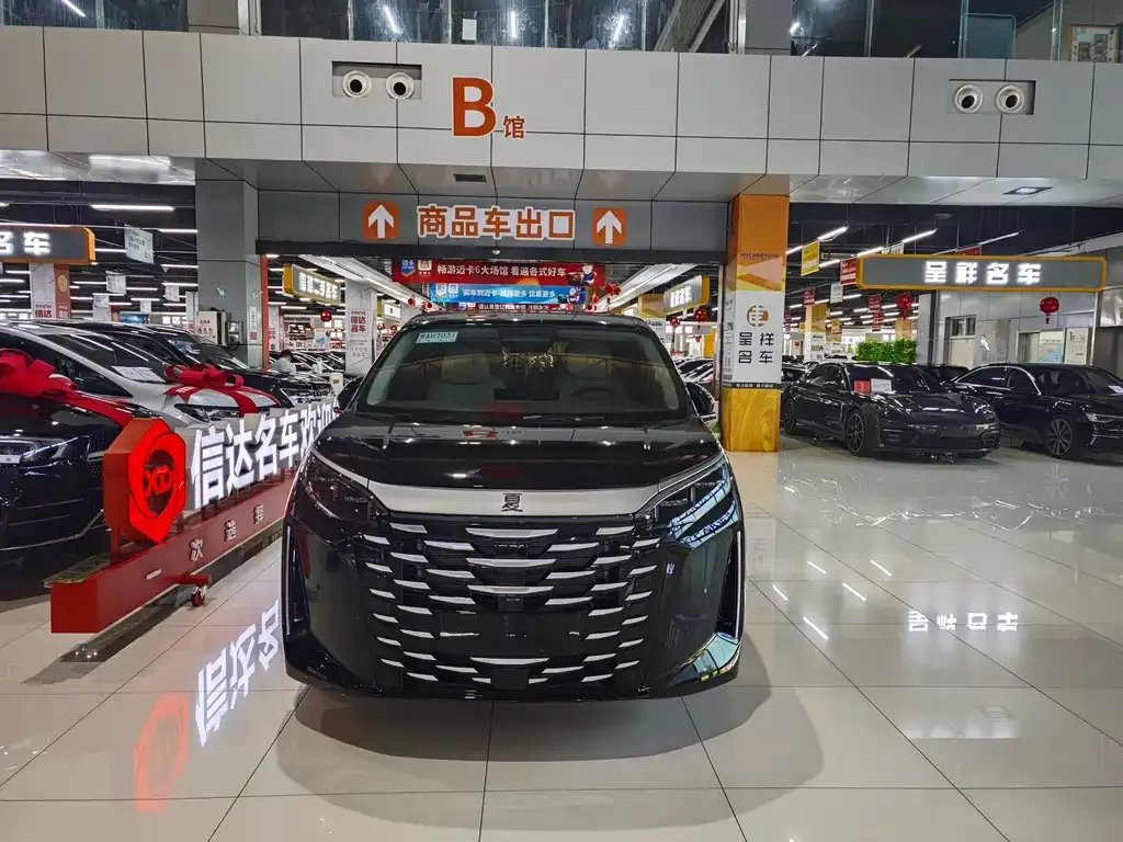 BYD Xia 2025 из CN, фото 2