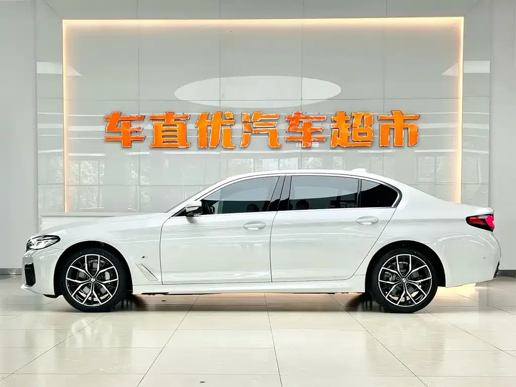 BMW 5 Series 2021 из CN, фото 4