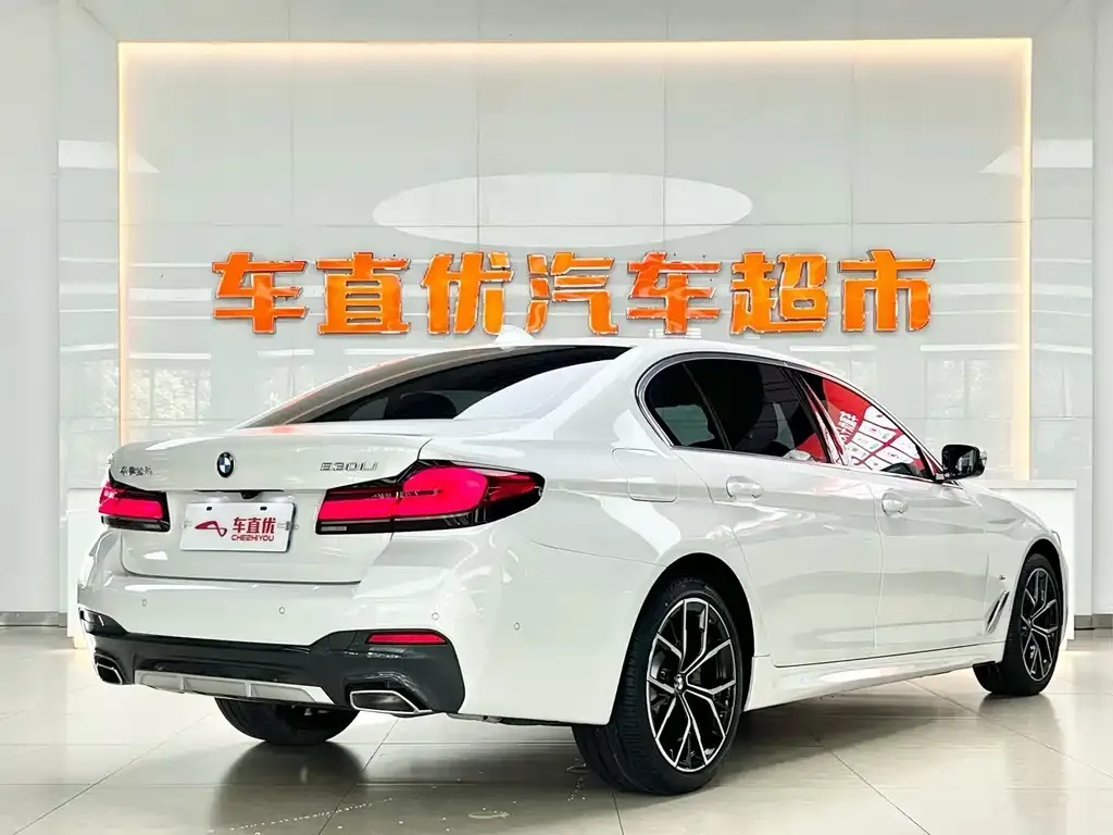 BMW 5 Series 2021 из CN, фото 5