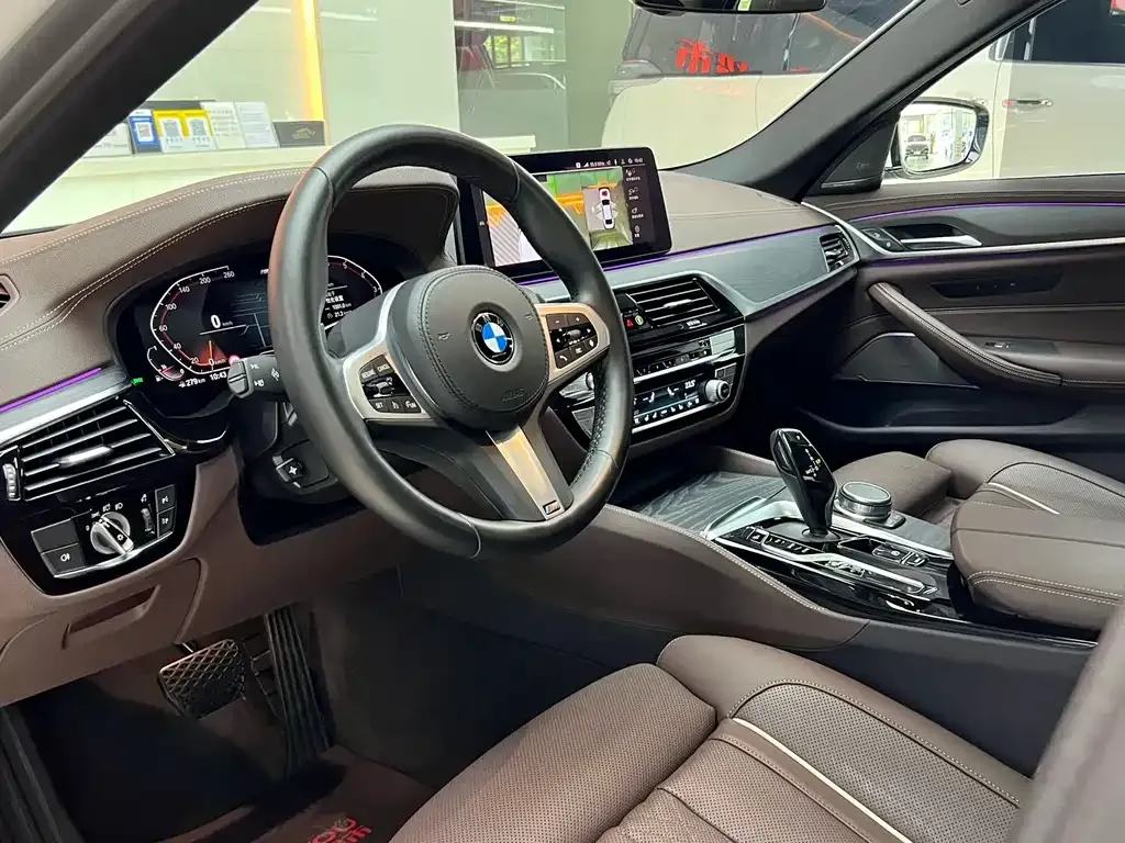 BMW 5 Series 2021 из CN, фото 8