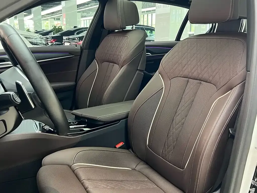 BMW 5 Series 2021 из CN, фото 9