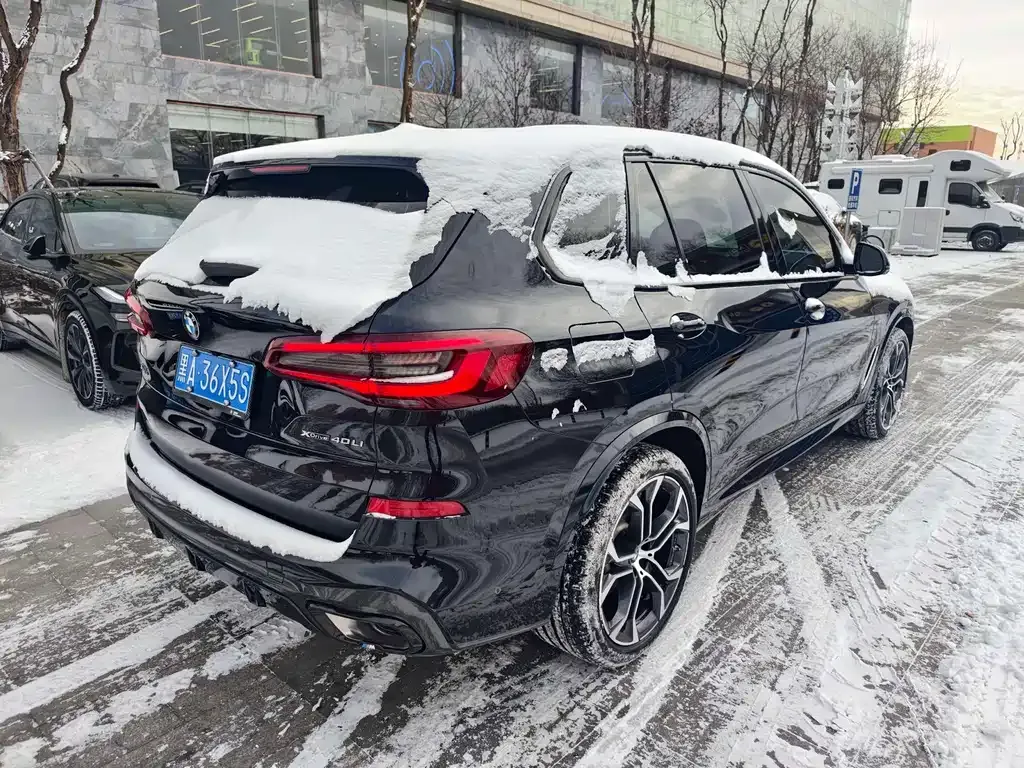 BMW X5 2023 из CN, фото 6