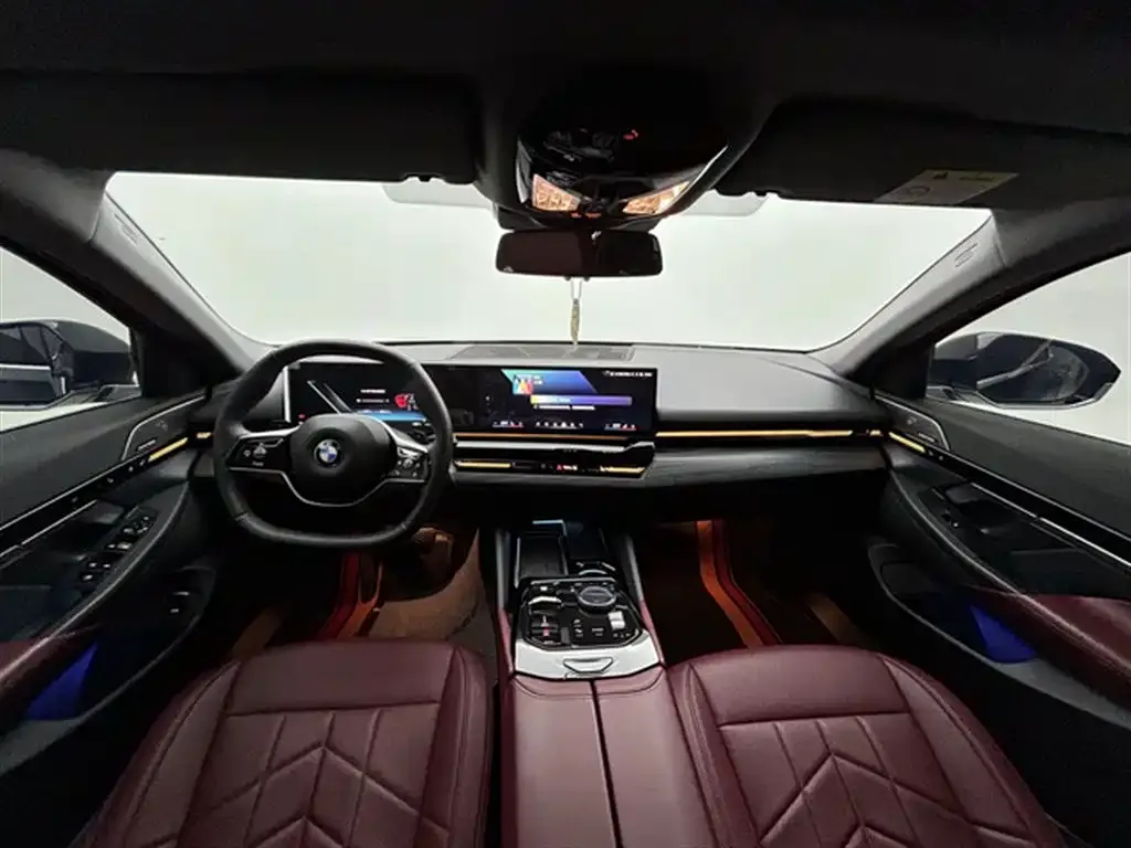 BMW 5 Series 2024 из CN, фото 10