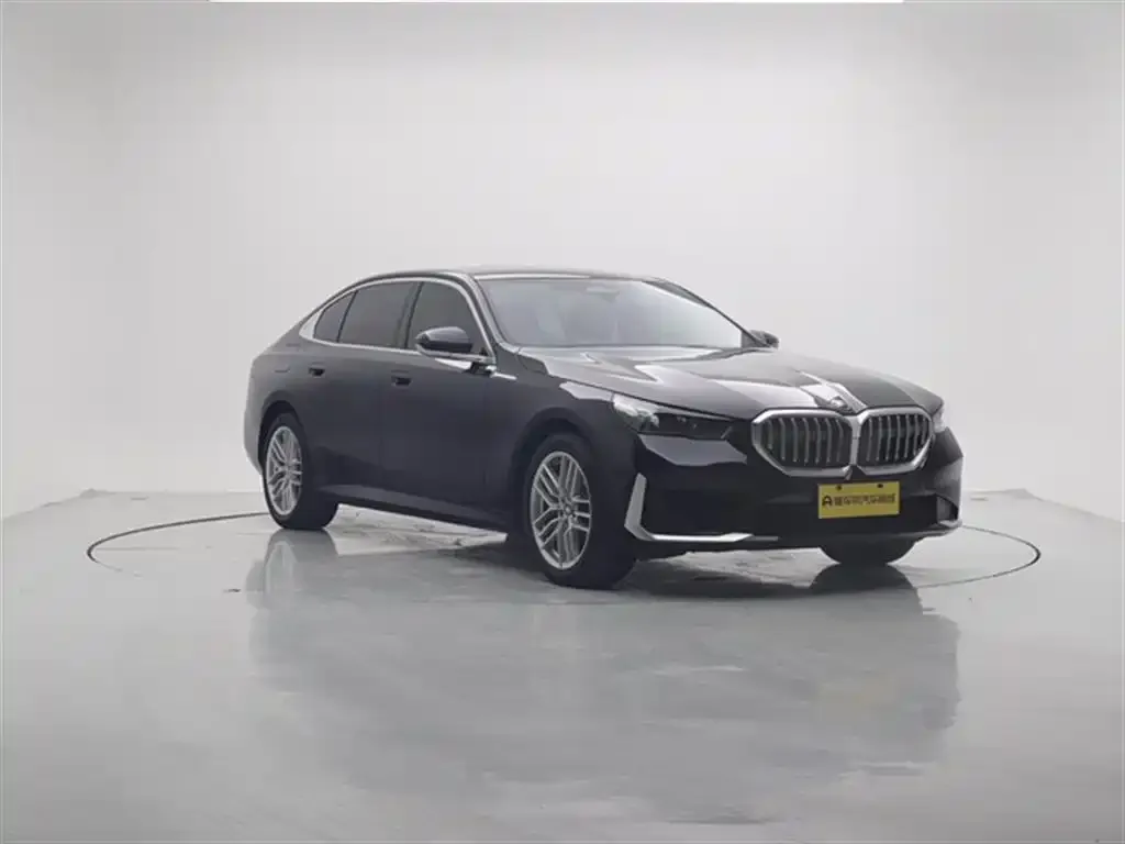 BMW 5 Series 2024 из CN, фото 4