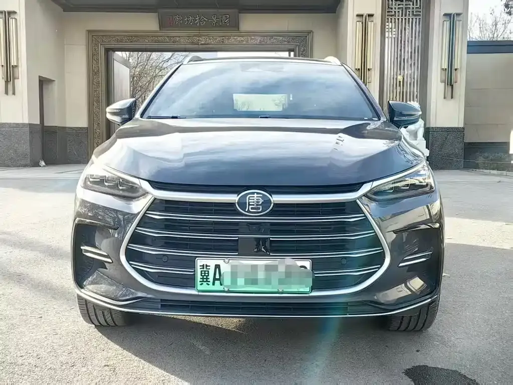 BYD Tang New Energy 2023 из CN, фото 1