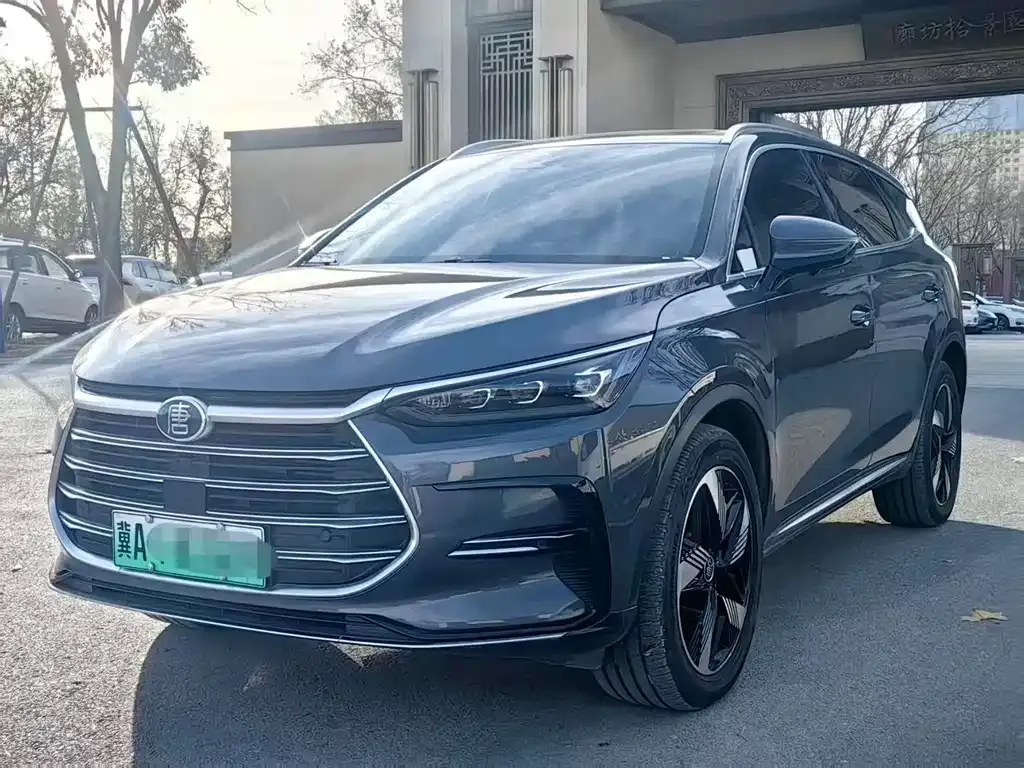 BYD Tang New Energy 2023 из CN, фото 2