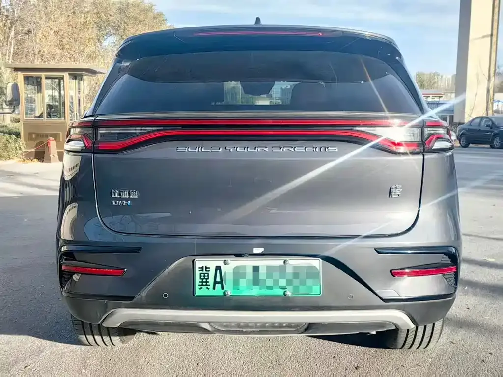 BYD Tang New Energy 2023 из CN, фото 4