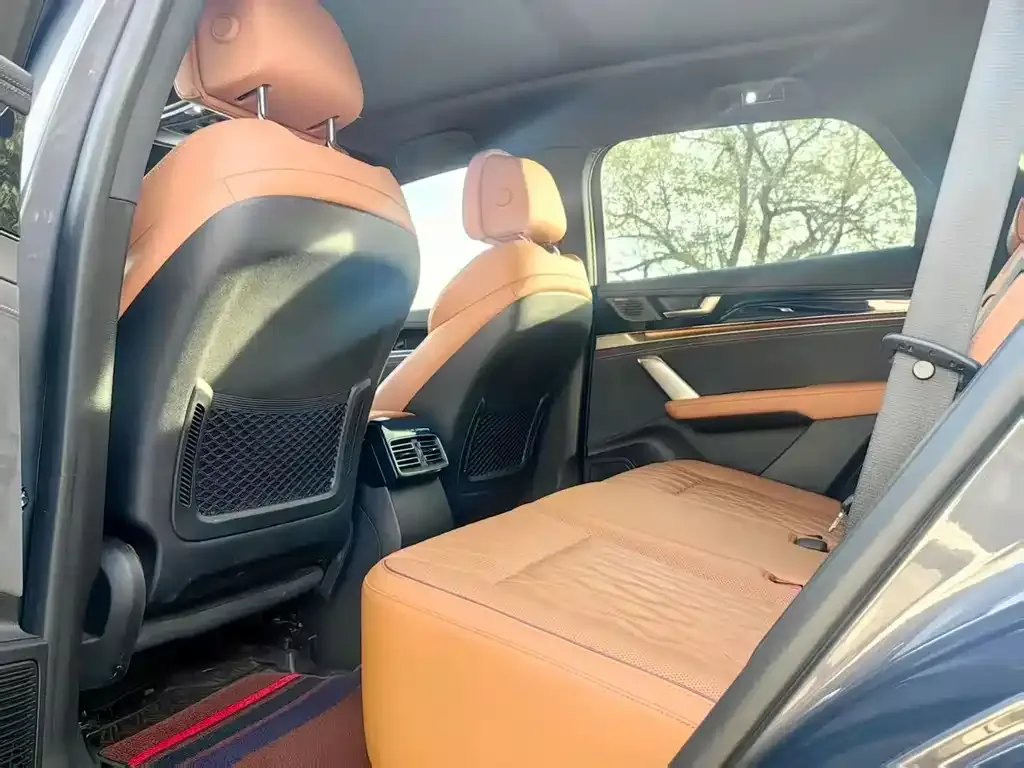 BYD Tang New Energy 2023 из CN, фото 9