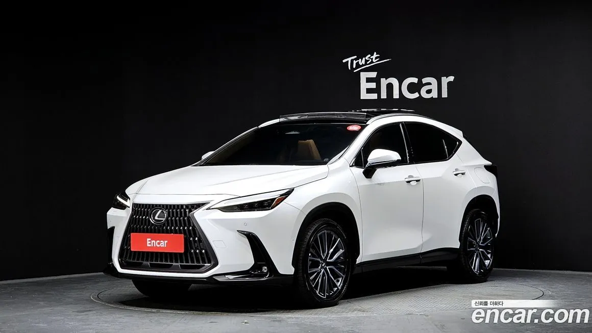 Lexus NX 2024 из KR, фото 1